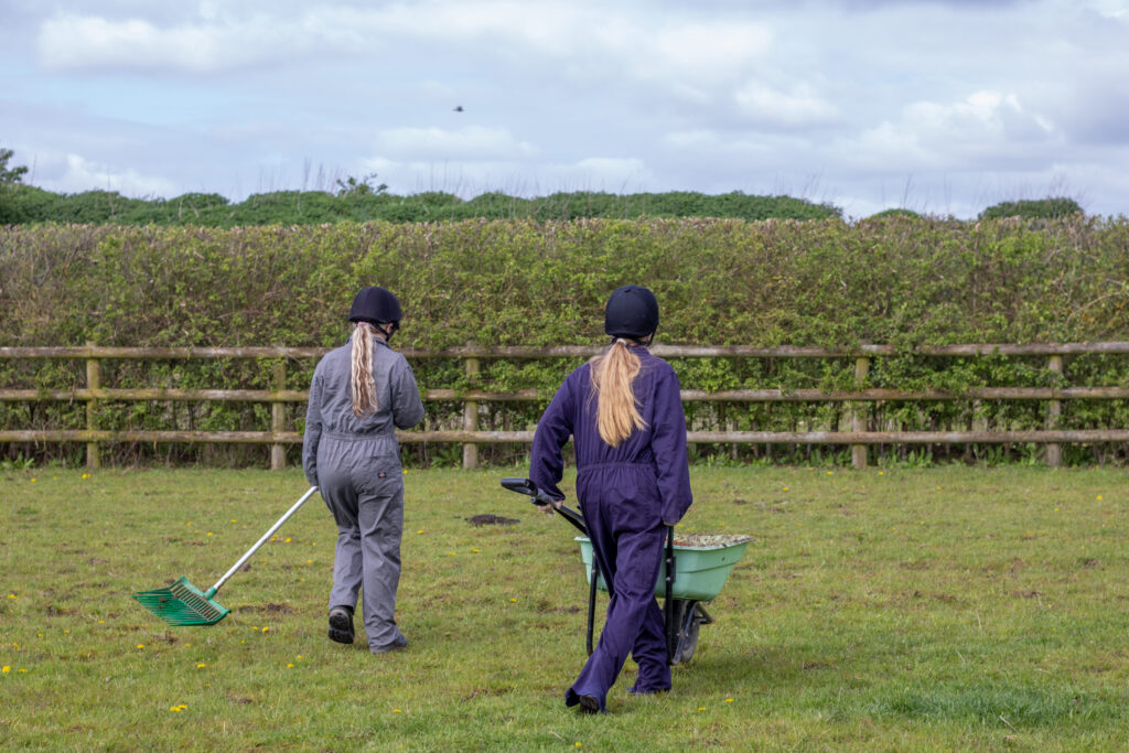 Two members of staff poo picking a field