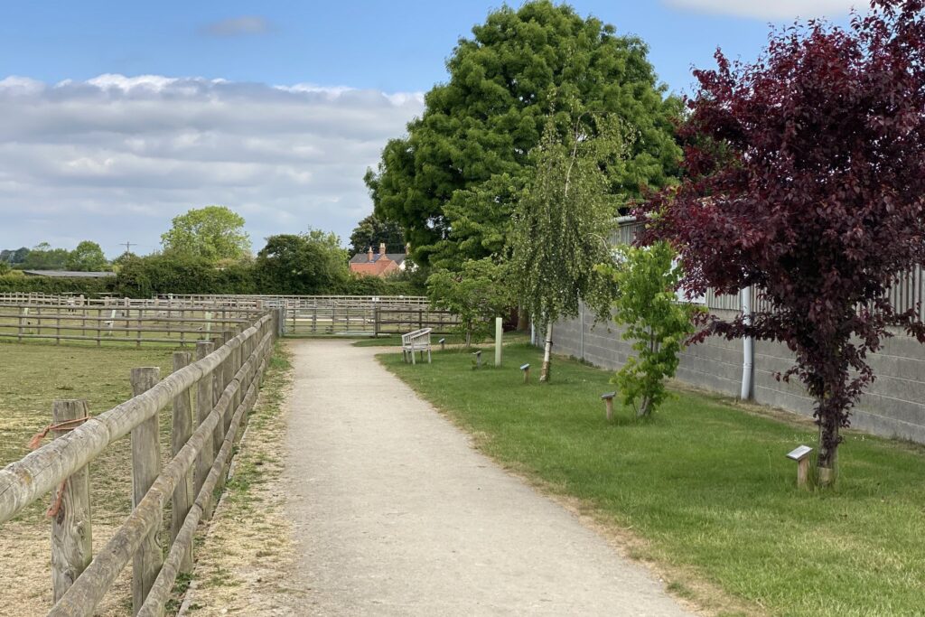 Pathway on the main yard at Bransby Horses