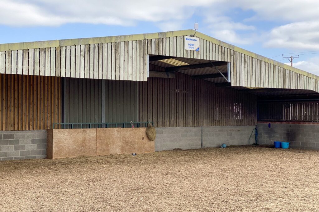 wood chip pad