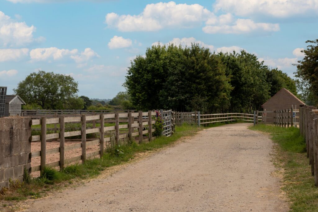 walkway along peter hunt yard