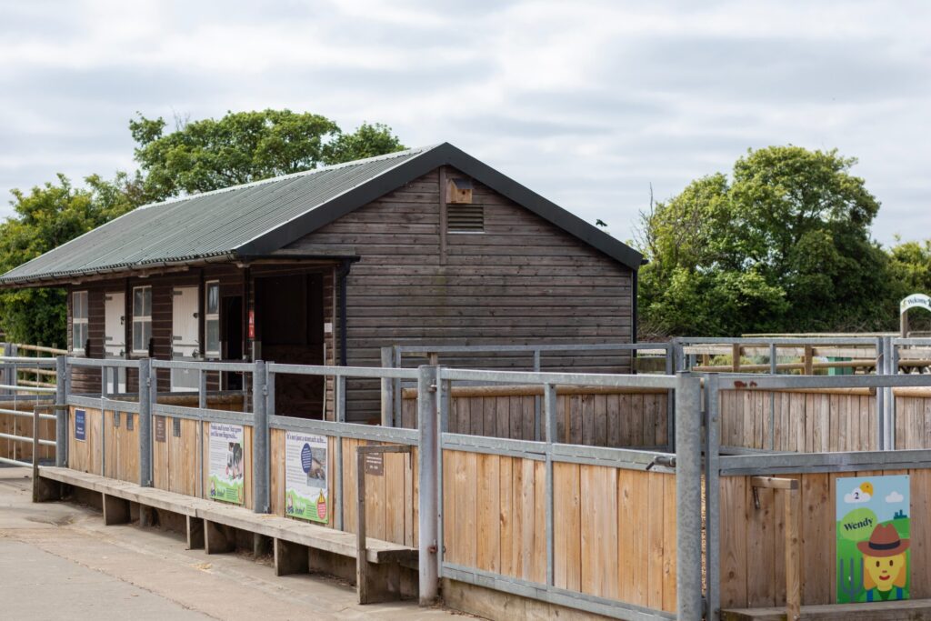 picture of a small paddock at the visitor centre yard