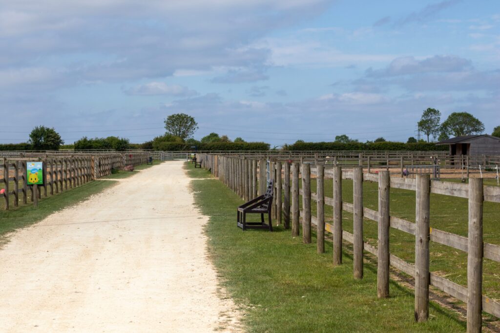 Long walkway at the visitor centre yard at Bransby Horses