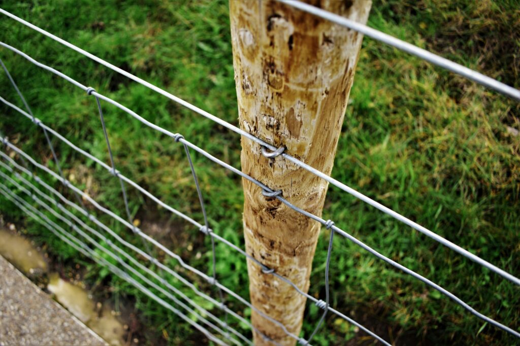 stock photo of stock fencing