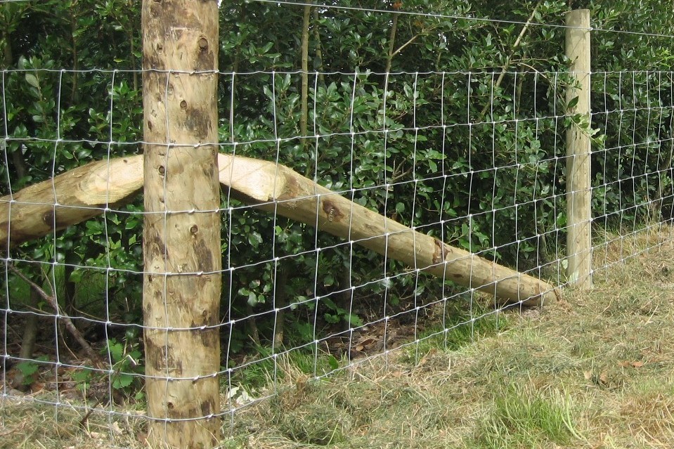 Stock photo of stock fencing
