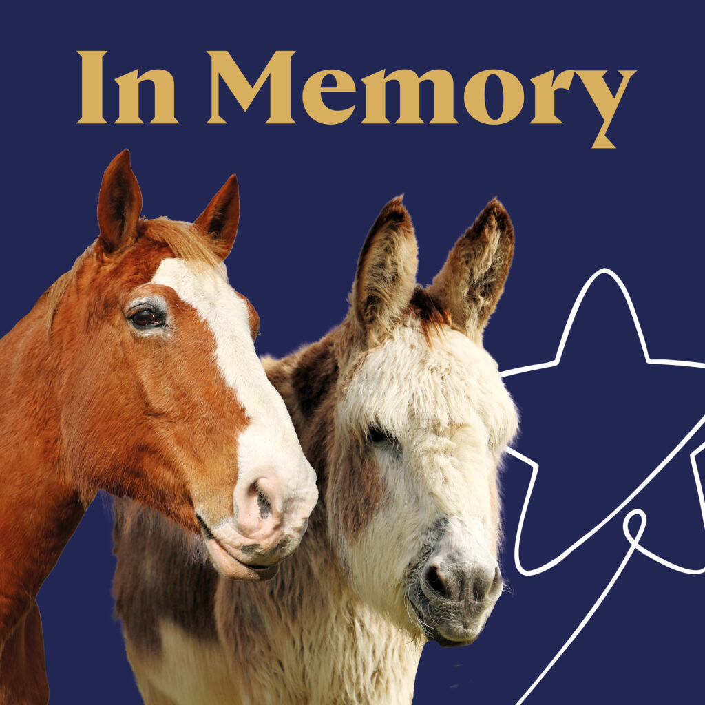 In memory of Sponsorship stars