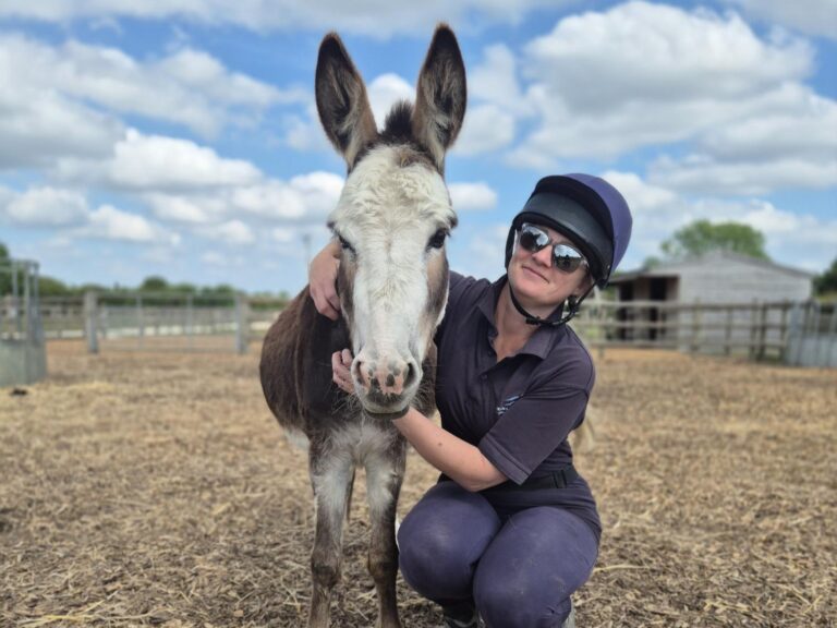 Member of staff stood next to a brown and white donkey with her arms around her neck