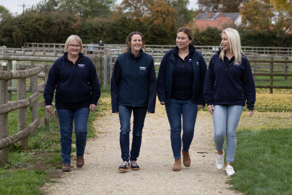 Members of the rehoming team walking along a pathway at Bransby Horses