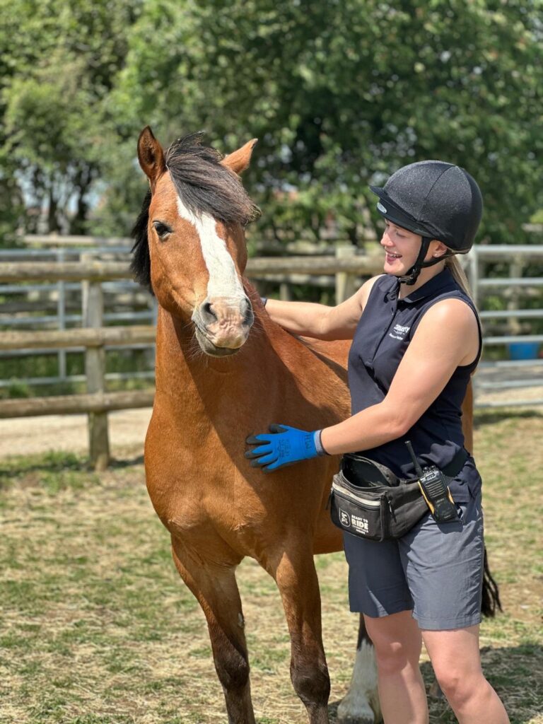 handler stood next to a bay pony in a field